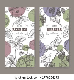 Conjunto de dos etiquetas con fresa de jardín alias Fragaria ananassa y morera negra alias Morus sketch. Serie de frutos de baya. Ideal para la medicina tradicional, el diseño de perfumes, la cocina o la jardinería.