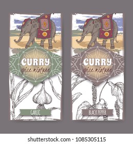 Set of two labels with garlic, black pepper and Indian elephant hand drawn color sketch. Curry spice mixture collection. Great for cooking, gardening design.