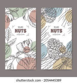 Set of two labels with Juglans regia aka walnut tree and Pinus pinea aka stone pine branch and nuts sketch. Culinary nuts series. Great for traditional medicine, perfume design, cooking or gardening.