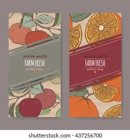 Set of two labels with orange and apple branch color sketch. Placed on original cardboard texture. Great for store and packaging design.