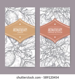 Set of two labels with Orange blossom and lemon branch sketch on elegant lace background. Aromatherapy series. Great for traditional medicine, perfume design, cooking or gardening.