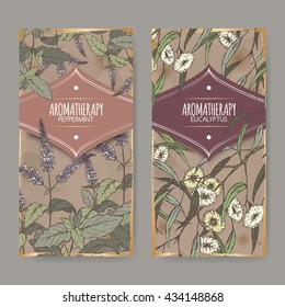 Set of two labels with Peppermint and Eucalyptus color sketch on vintage background. Aromatherapy series. Great for traditional medicine, perfume design, cooking or gardening labels.