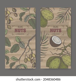 Conjunto de dos etiquetas con pistacia vera aka pistachio y rama de árbol de coco de Cocos nucifera y boceto de color de nueces. Serie de nueces culinarias. Ideal para el diseño de perfumes, cocción o jardinería.