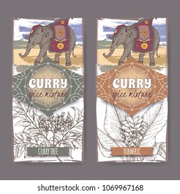 Set of two labels with turmeric, curry tree and Indian elephant hand drawn color sketch. Curry spice mixture collection. Great for cooking, gardening design.