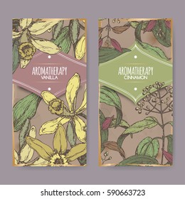 Set of two labels with Vanilla planifolia aka Vanilla and Cinnamomum verum aka cinnamon color sketch on vintage background. Aromatherapy series.