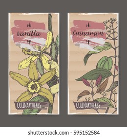 Conjunto de dos etiquetas con Vanilla planifolia aka Vanilla y Cinnamomum verum aka sketch de color canela. Colección de hierbas culinarias. Ideal para cocinar, médico, diseño de jardinería.