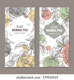 Set of two modern labels for linden and barberry organic herbal tea. Based on hand drawn sketch. Placed on blackboard background.