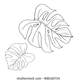 Set of two monstera leaves in black and white colors. Hand drawn design elements. Vector isolated. Line drawing.
