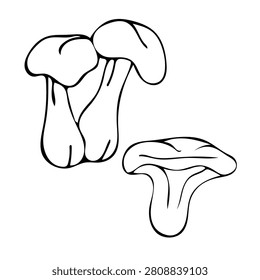 Set of two mushrooms chanterelles. Stylized mushrooms with rounded caps and thick stems. Minimalist design on white background.