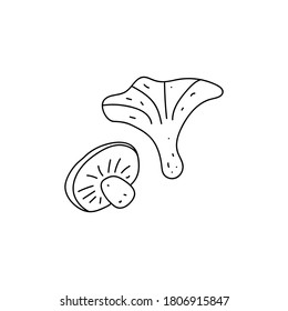 Set of two mushrooms. Simple vector illustration in a hand-drawn style isolated on a white background. Black outline.