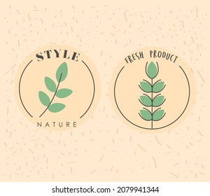 conjunto de dos focas naturales