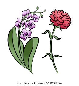 Set of two outlined flowers. Orchid and carnation  In sketch hand drawn style. Vector illustration