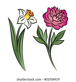 Set of two outlined flowers. Peony and narcissus In sketch hand drawn style. Vector illustration