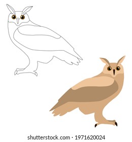 Set of two owls and an outline for colouring