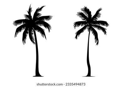 Set of two Palm tree silhouette. Vector illustration