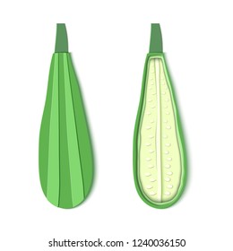 Set of two paper cut zucchini. Origami squash whole and half. Collection of vegetable marrow. Vector card illustration. Harvest courgette organic ingredient in paper art style.