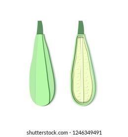 Set of two paper cut zucchini. Origami squash whole and half. Collection of vegetable marrow. Vector card illustration. Harvest courgette organic ingredient in paper art style.