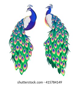 Set of two peacocks isolated on white background. Vector illustration.