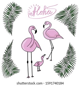 Set of two pink flamingos with a cub in a frame of palm leaves. White isolated background. Stock vector illustration.