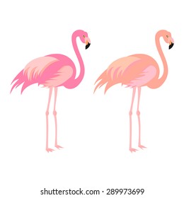 Set of two pink flamingos. Graceful pink birds. Vector.