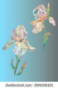 set of two pink irises on a gradient turquoise background. suitable for postcards, brochures, wedding invitation, clothing prints