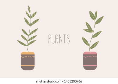 Set of two potted plants in decorative pots with "plants" word.
