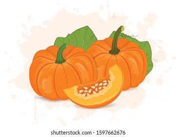 Pumpkin Vector Illustration Pumpkin Slice Green Stock Vector (Royalty ...