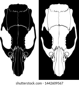 Set of two rat skulls, black on a white background and white on a black background.
