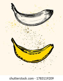 Set of two realistic design bananas isolated on beige splash dots. Natural black and white and yellow banana sketch ink style. Hand drawn real looking pair of fresh fruits. Healthy organic food.