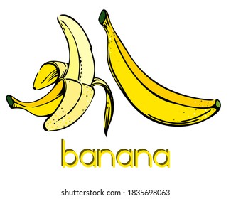Set of two realistic design bananas isolated. Natural yellow banana sketch ink style. Hand drawn real looking pair of fresh fruits. Healthy organic food. For printing, banner, fruit shops.