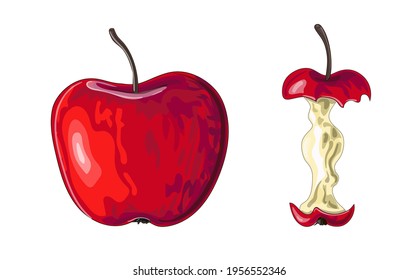 A set of two red apples. Red apple and eaten apple-core. Stock vector illustration isolated on white background.