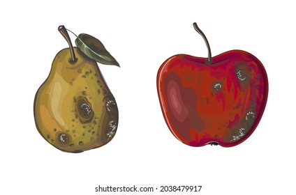 A set of two rotten fruits - a red apple and a yellow pear in the cartoon style. Stock vector illustration isolated on a white background.