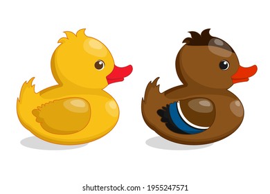 Set of two Rubber duck isolated in white background. Yellow and brown wild duck. Vector illustration in cartoon style. EPS 10