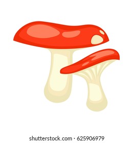 Set of two russules with red caps and white leg