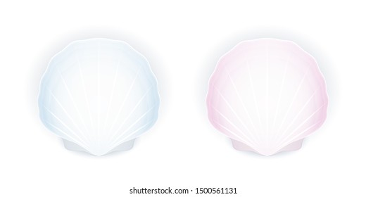 Set of two seashells isolated on white background, blue and pink shells, vector illustration