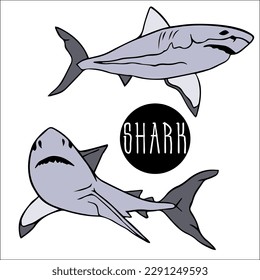 set of two sharks. whale shark is the largest in the world. white shark is marine predator with large open mouth. Great white shark.