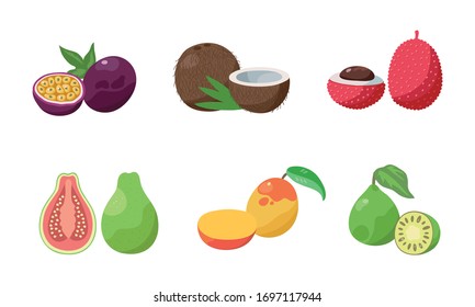 Conjunto de dos rebanadas de fruta de la pasión, coco, liceo, guayaba, mango, feijoa. Ilustración vectorial al estilo de las caricaturas planas.