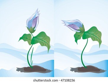 set of two spring flowers, cute vector editable illustration	 		 		 		 		 		 		 		 		 		 		