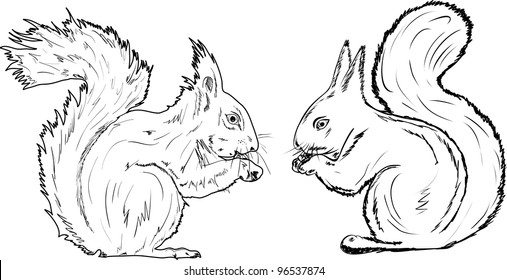 Set from two squirrels gnawing nuts
