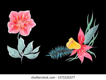 Set of two summer colorful tropical flowers. Floral botanical flower set isolated on black background. Hand drawn vector collection. Botanical Hawaii nature. Tropical palm icon. Hawaiian illustration
