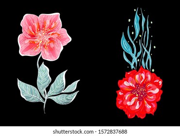 Set of two summer colorful tropical flowers. Floral botanical flower set isolated on black background. Hand drawn vector collection. Botanical Hawaii nature. Tropical palm icon. Hawaiian illustration