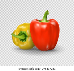 Set of two sweet peppers. Yellow, red pepper. Vector illustration, natural pepper realistic image with shadow for culinary products and recipes illustration