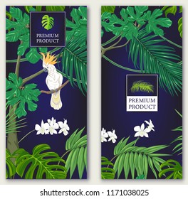 Set of two templates for label for premium product  or cards,  invitation, banner  with tropical plants, palm leaves, monsters, orchids and birds. Colored vector illustration
