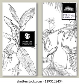 Set of two templates for label for premium product  or cards, invitation, with tropical plants, palm leaves, monsters, orchids and birds. Graphic drawing, engraving style. vector illustration.

