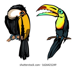 Set of two tookans, colorful tropical birds from Hawaii or south Asian Islands. Colorful contrast simple drawings, isolated, for custom print and logo design. Vector stock illustration.