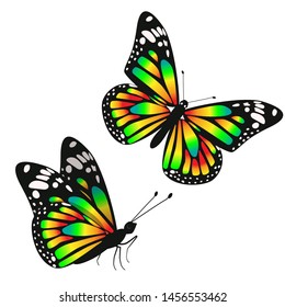 A set of two toxic gradient butterflies. Vector graphics isolated on white background.