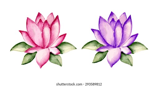 Set of two tropical water lilies. Watercolor hand drawing. Vector illustration