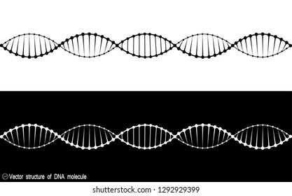A set of two variants of the DNA molecule. black and white variety. Simple drawing, icon. For your design. Isolated. 10 eps