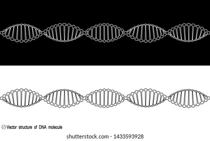 A set of two variants of the DNA molecule, outline. Black and white variety. Simple drawing, icon. For your design. Isolated.