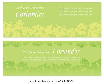 A set of two vector background illustrations of herbs: coriander. Both illustrations are designed so that you can connect the image laterally and create a seamless pattern. 